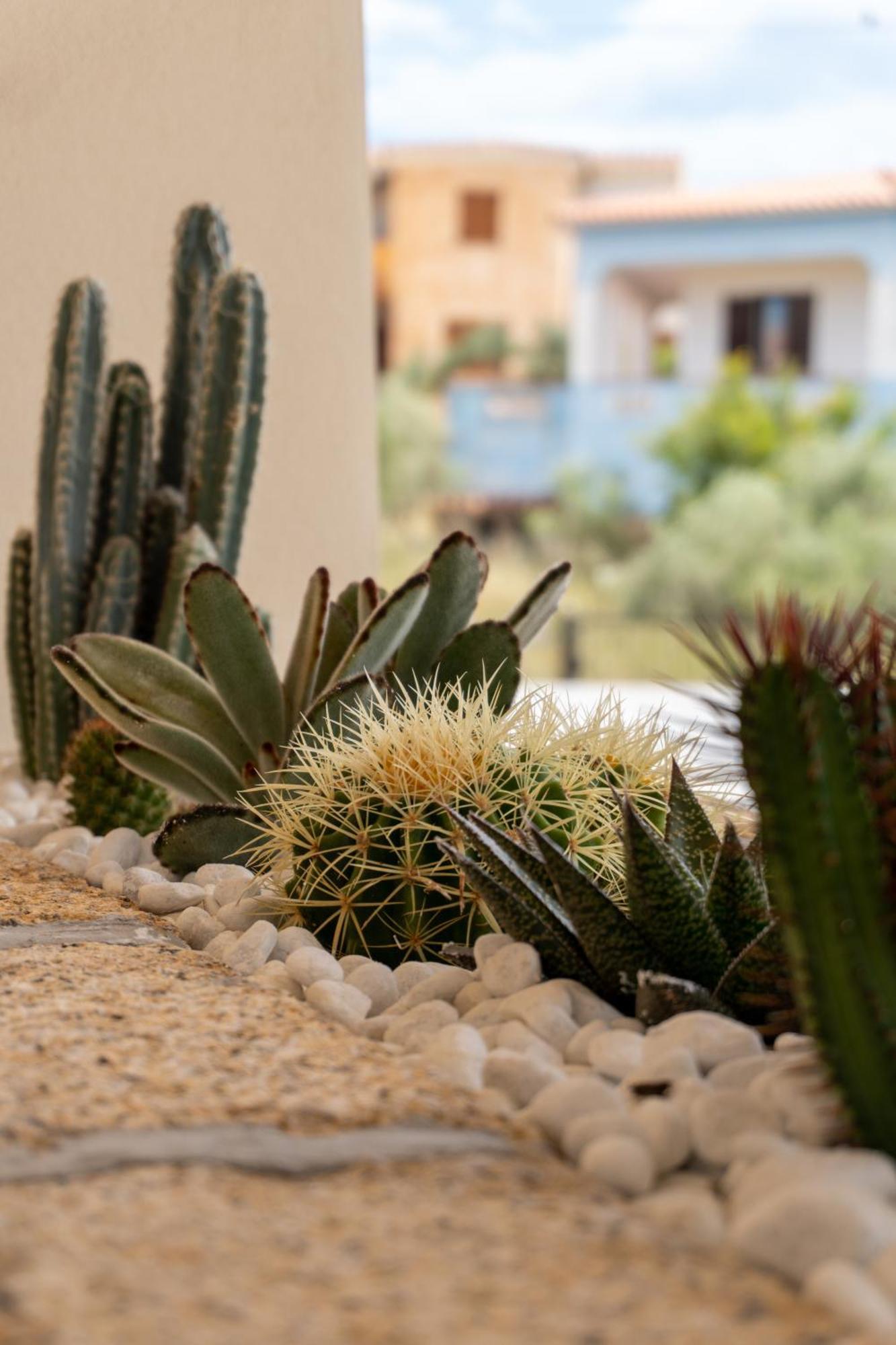 בודוני Dicciosu Guest House מראה חיצוני תמונה
